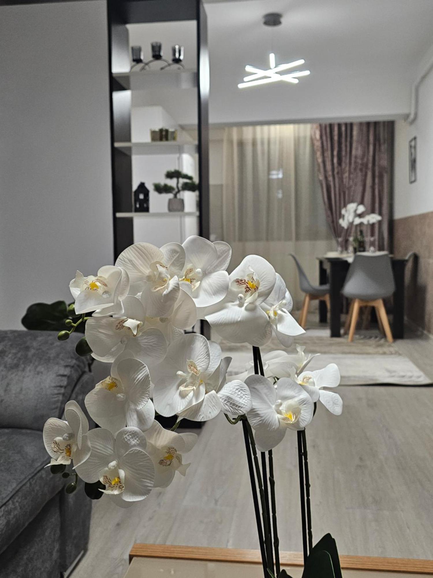 Enjoy My Home Near Palas Mall 2 雅西 外观 照片